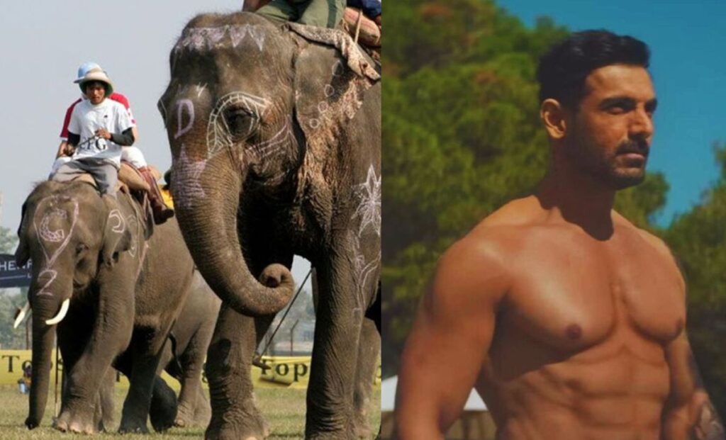 John Abraham Elephant Festival