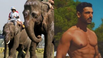 John Abraham Elephant Festival