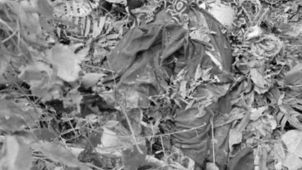 Rhino Attack in Chitwan