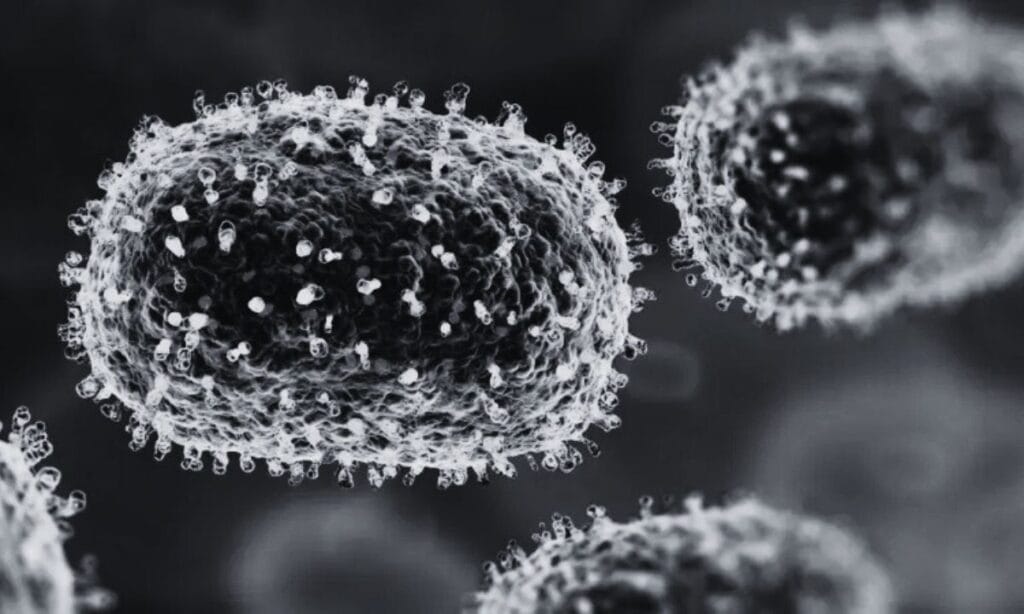 HMPV Virus Detected in India