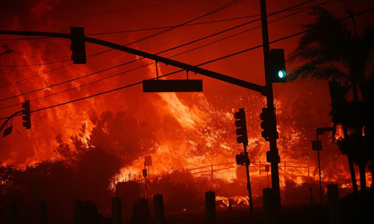 Los Angeles Wildfire Destroys 1,000 Homes, 5 Dead, State of Emergency Declared