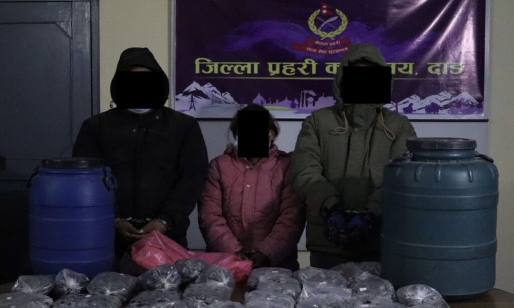 Three Arrested with 24 Kgs of Cannabis in Dang