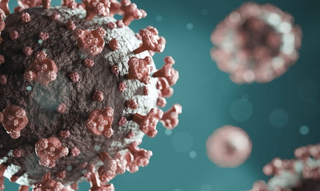 Coronavirus 2025 Strain HKU5-CoV-2