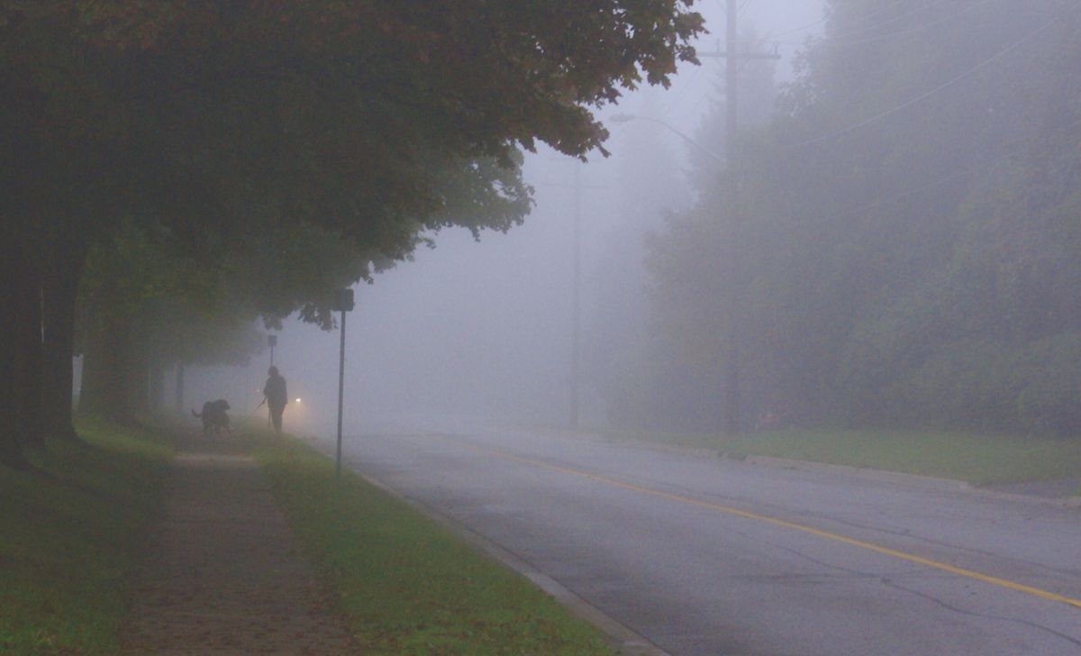 Fog and Haze Cover Terai