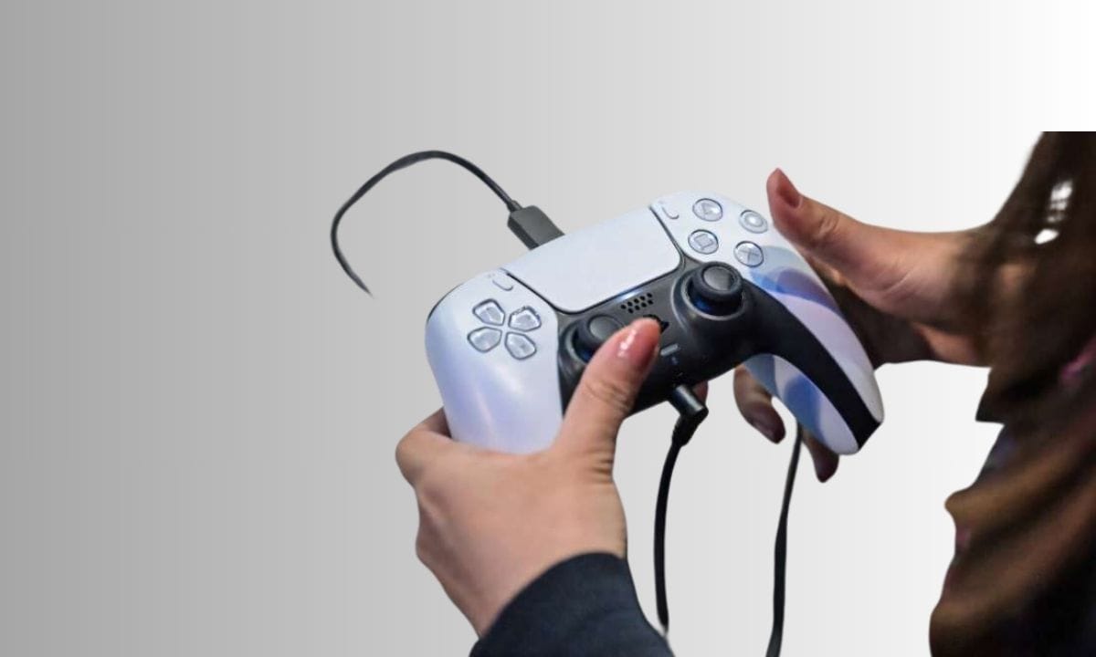 Playstation network