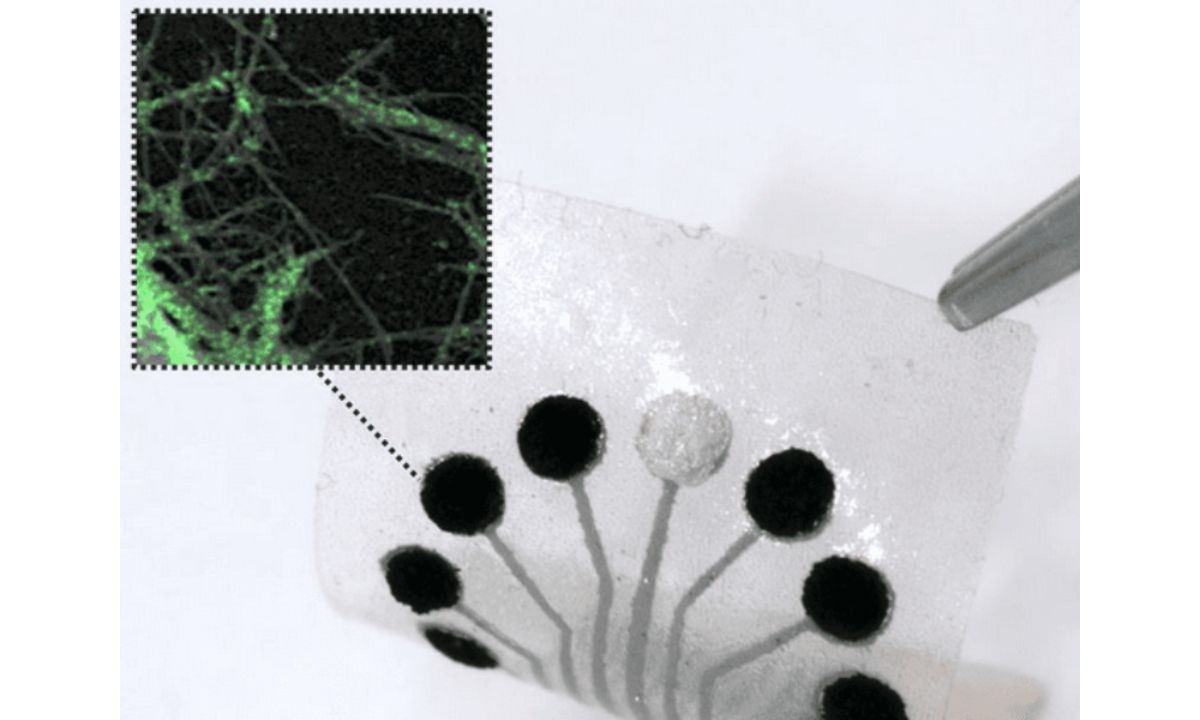 New TMR Sensor Tracks Body’s Health in Real-Time