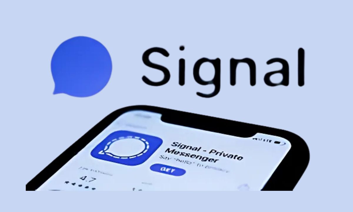 Signal Surges in Dutch App Stores as Digital Privacy Gains Attention