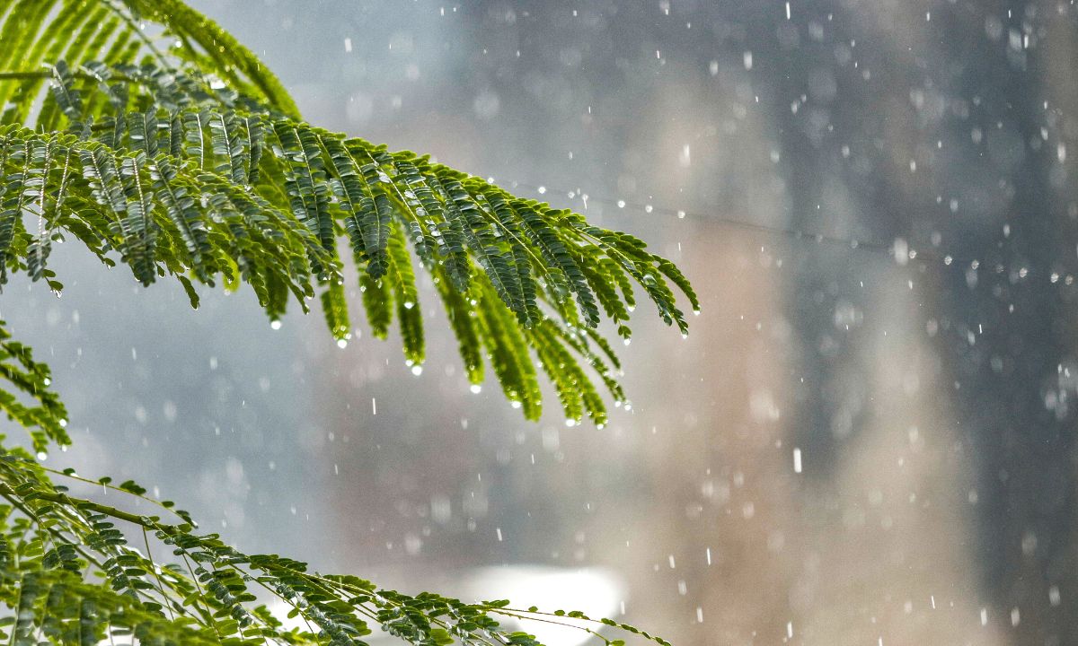 Today's Weather in Nepal