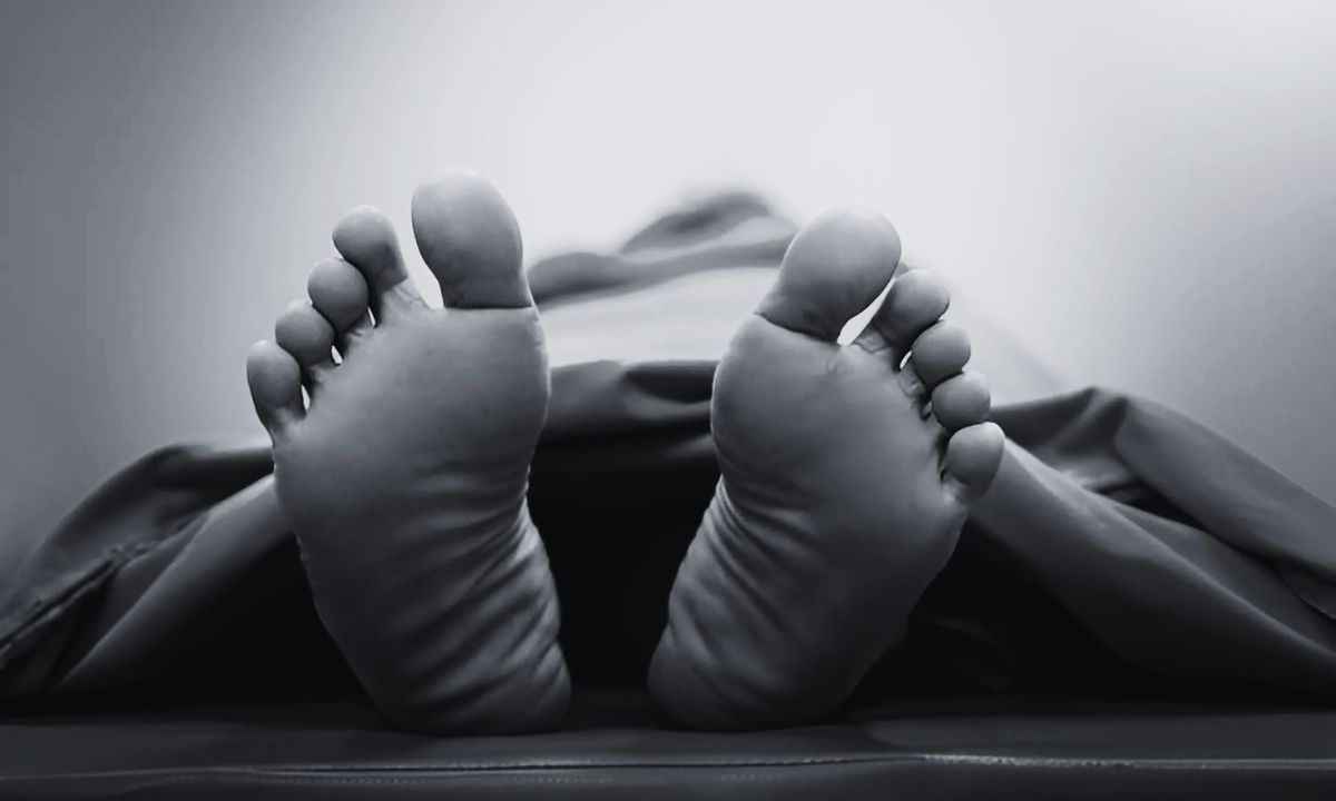 Two Killed After Being Crushed by Falling Tree in Dailekh