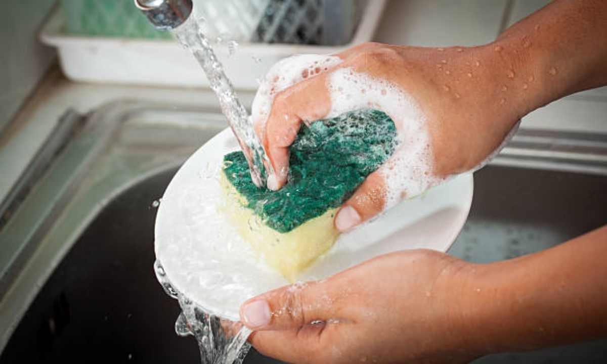 Warning: Your Dish Sponge Could Be Making You Sick!