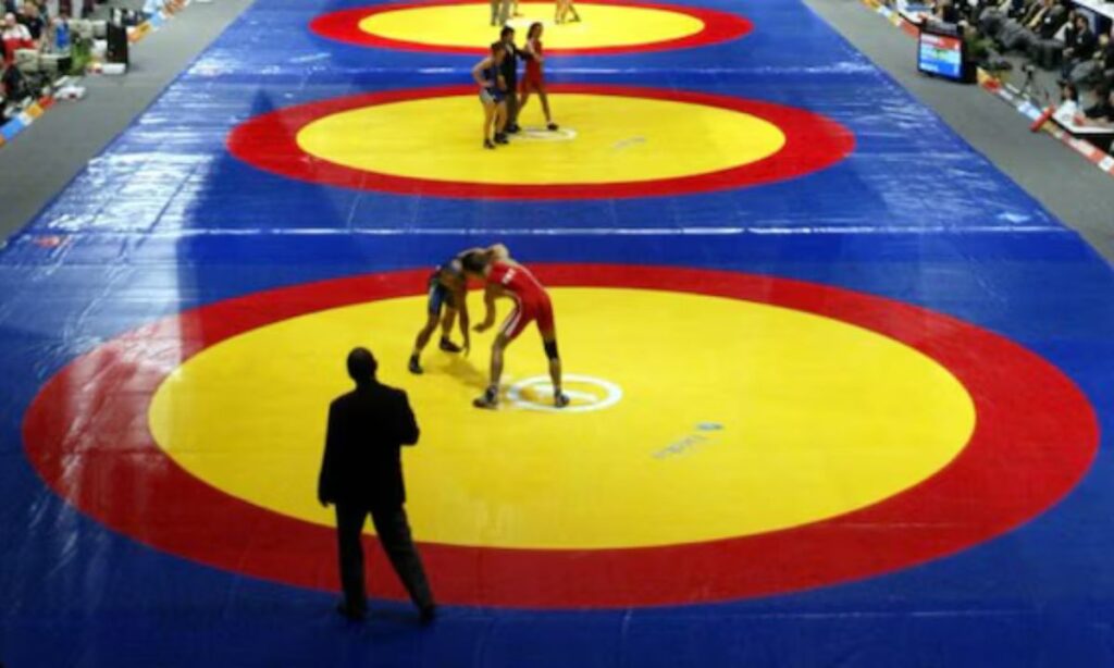 Wrestling Federation of India