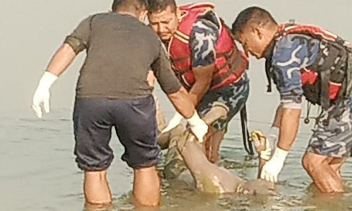 Bhada River Drowning