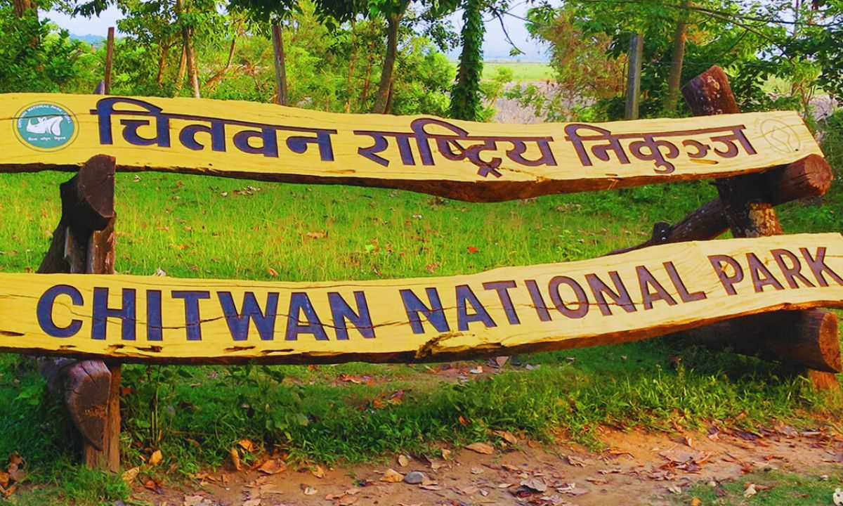 Chitwan Park Starts Collecting Gharial Eggs