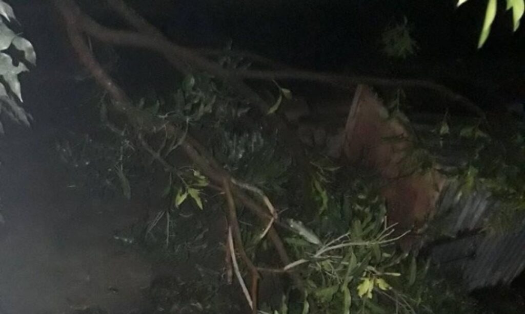 Damage Crops in Sunsari