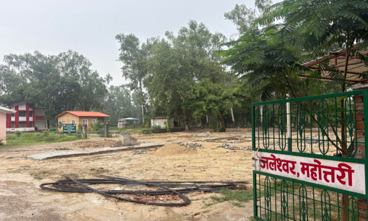 Officer Claims Assault Over Payment Dispute in Mahottari Forest Office