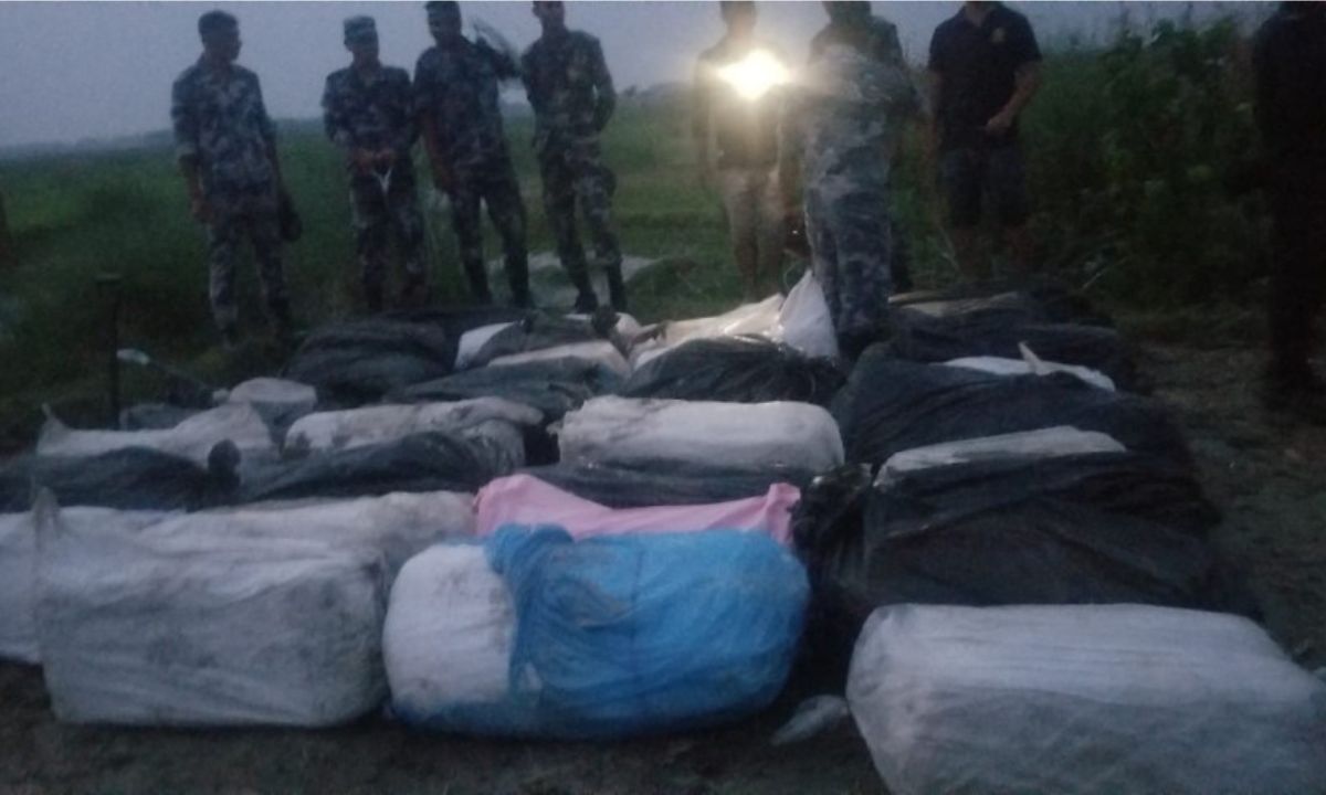 Over 1,120 kg of Ganja Hidden Under Sand Seized in Sunsari