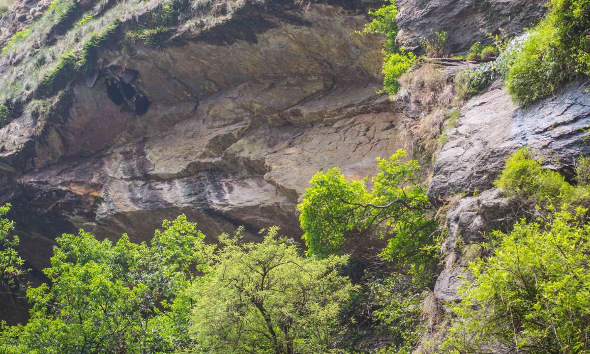Woman Dies After Falling Off Cliff in Kalikot