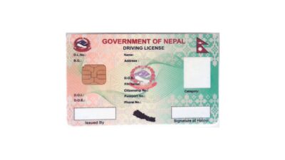 All Driving License Services Halted Due to System Issues