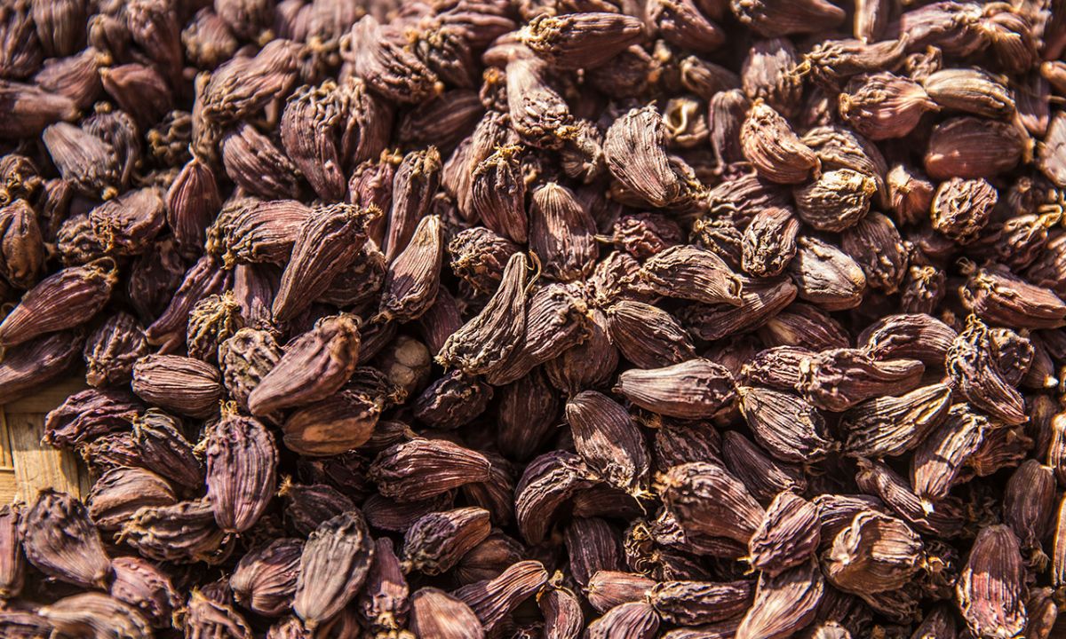 Cardamom exports from Nepal drop by 3.2%