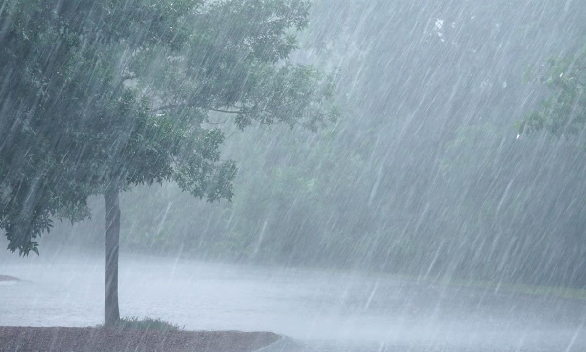 Heavy rain expected in various parts of Nepal till tomorrow
